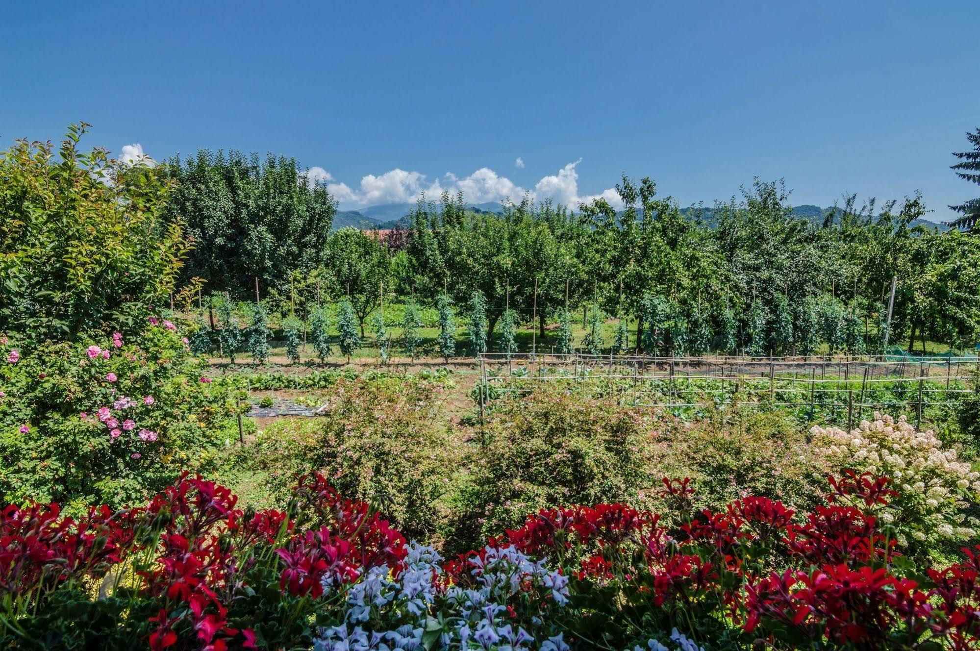 Agriturismo Chioi Barga Exterior foto